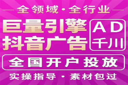 行业领先企业的SEM广告策略与效果分析